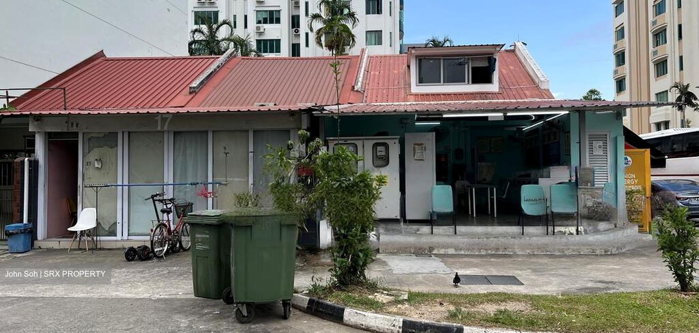 Lorong 12 Geylang (D14), Shop House #575310351